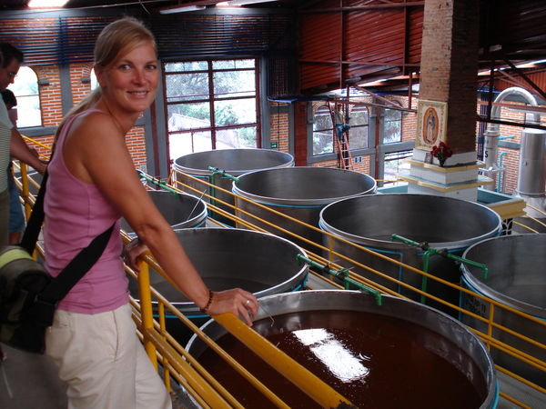 Tequila Distillery