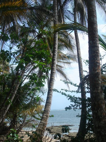 Strand von Cahuita