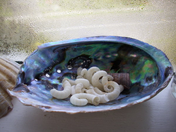 In a nutshell, its a paua shell with shells in, from Shelly Bay