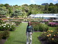 In the rose garden, Botanical Gardens