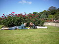 Posers in the rose garden