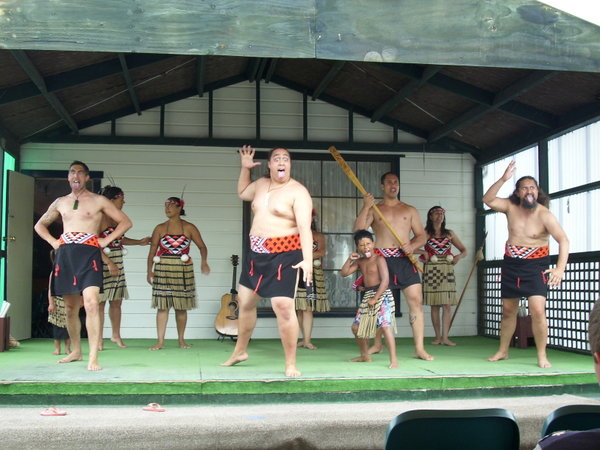 Maori tribal dance