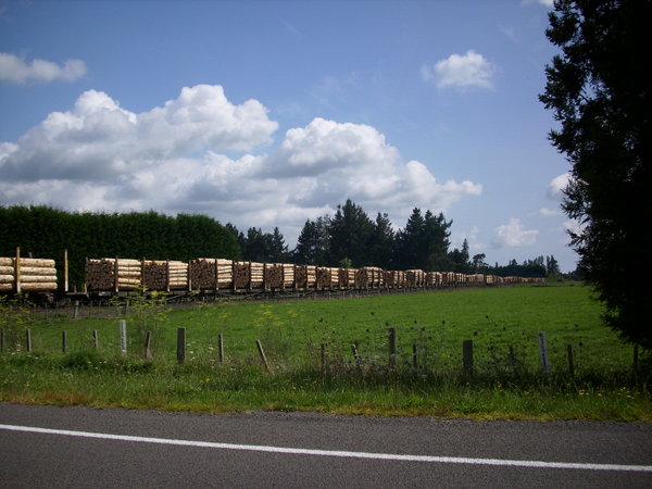 A very long logging train