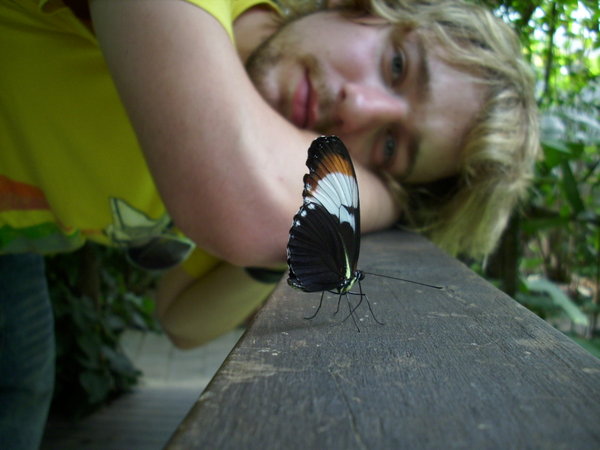 Dan and a Butterfly