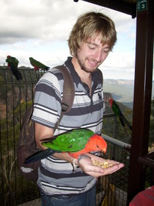 Dan feeding the parrots