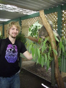 Koala and Dan