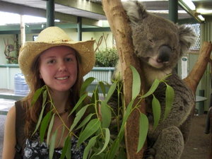 Grumpy Koala and Julia