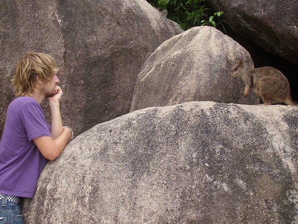 Dan and the rock wallaby