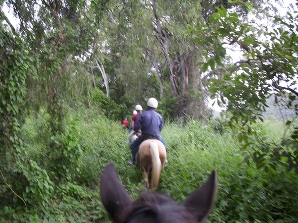 Riding through the bush