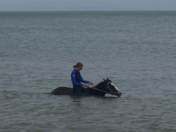 Swimming with my horse