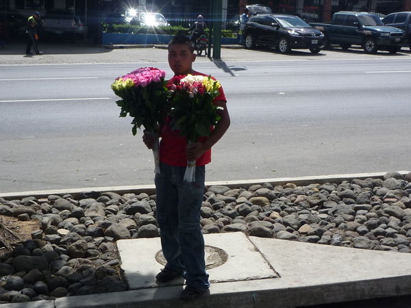 Wenn Rosen an der Strasse verkauft werden...