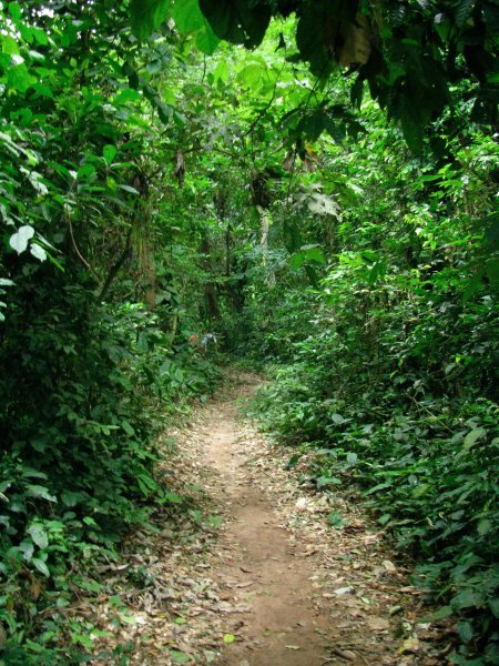 Path to Tagbo Falls