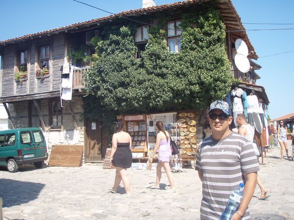 Typical Wooden houses