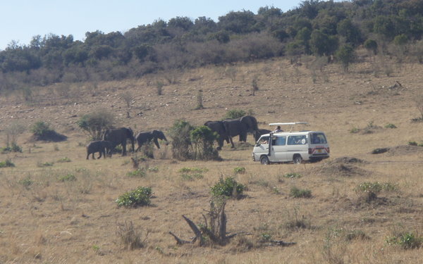 On our way to see a herd of elephants