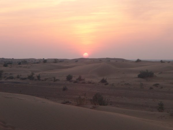 Desert Sunsets