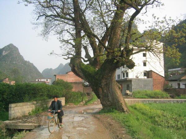 Biking in the Countryside