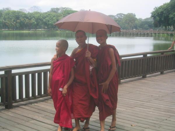 Novice Monks Strolling thru the Park