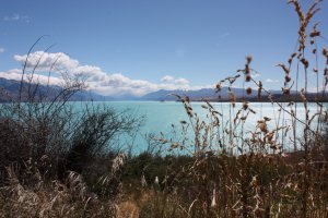 Lake Tekapo Blue