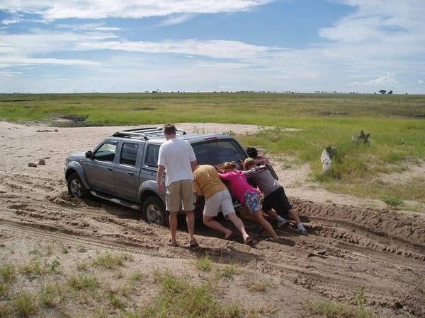 Bogged in Chobe