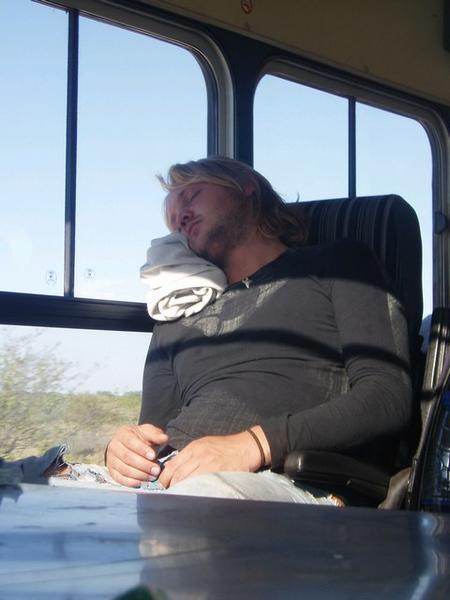 Those That Can't Handle the Morning Game Drive