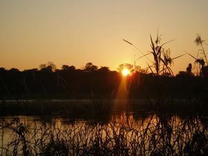 Okvango River Sunset