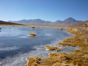 Frozen Lake in the Altiplano