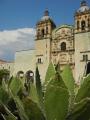 Churches & cactus - quintessential Mexico!