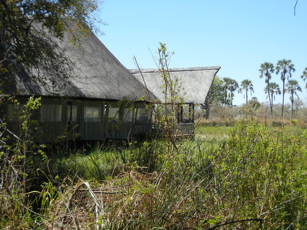 Dining room of Moremi Crossing