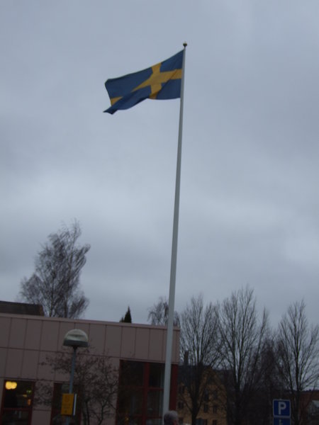 The swedish flag