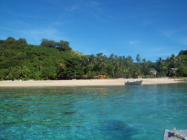 manta ray island