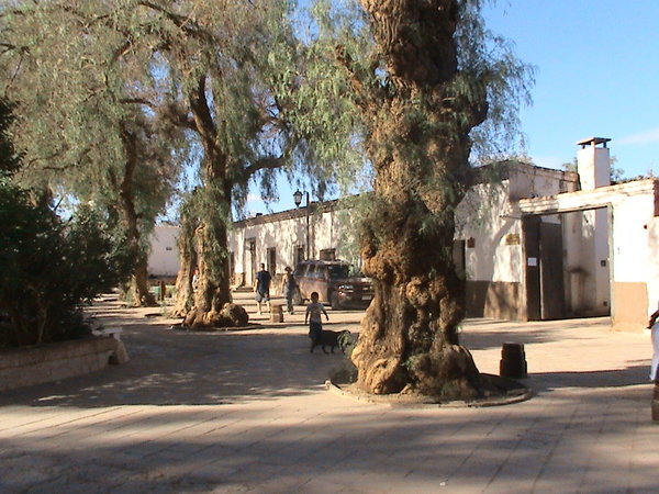 San Pedro square1