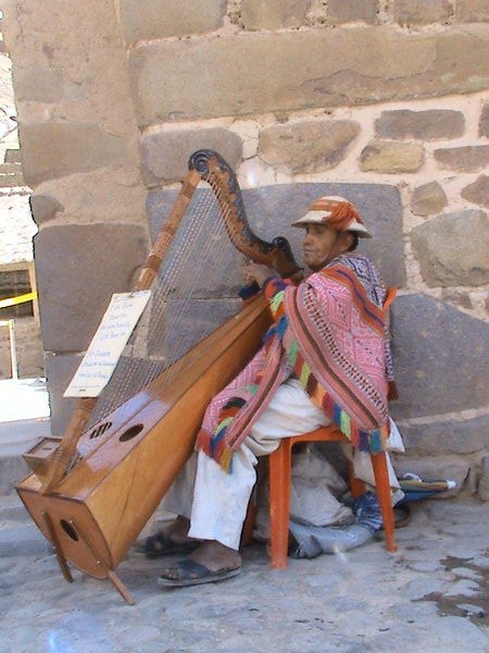 The blind harp player