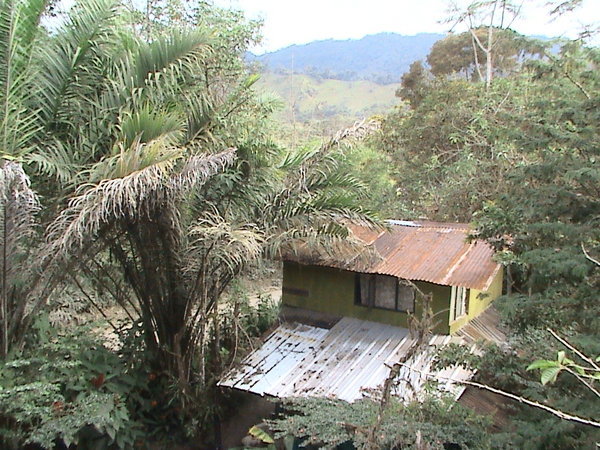 My Mindo hut