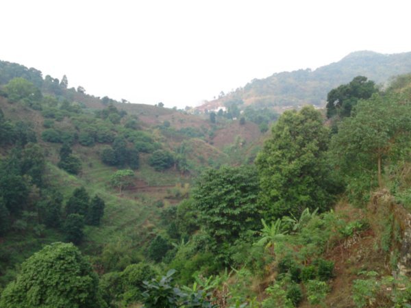 The valley at Mae Salong