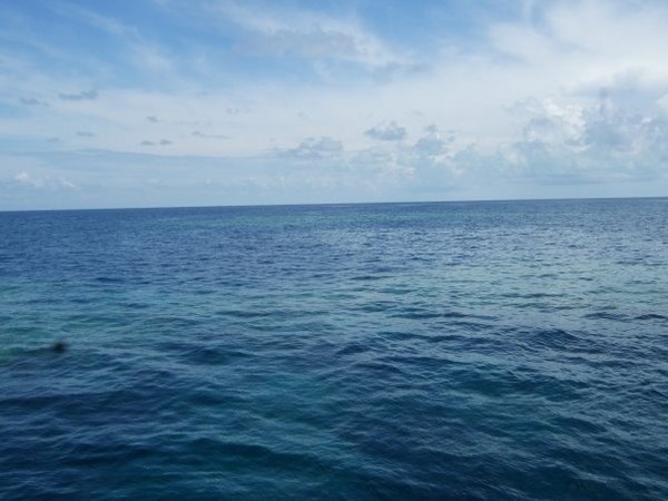 The ocean is blue