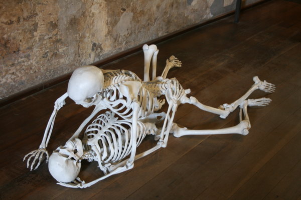 Skeletal Sex