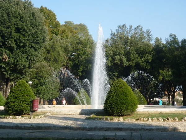 Siena Fountain