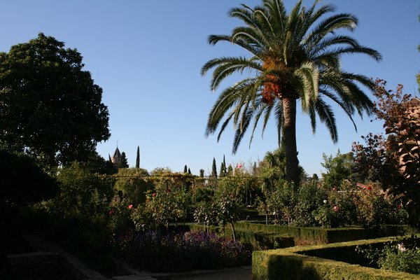 Alameda de la Alhambra 3