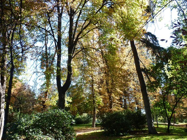 Retiro Gardens