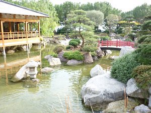 Japanese garden 2