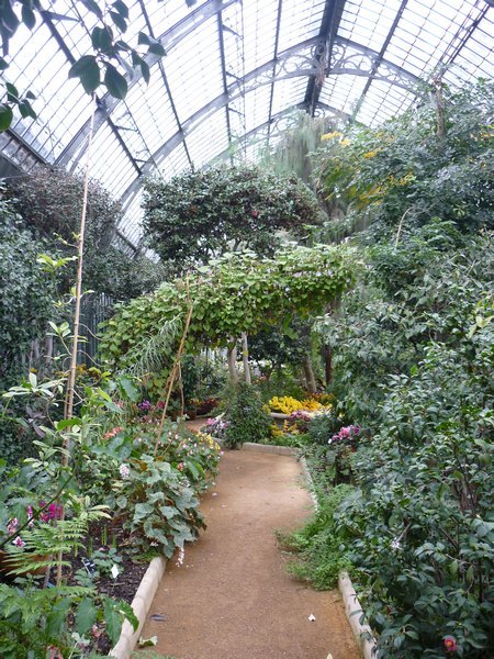 Inside the green house