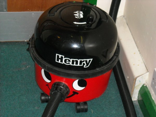 Henry after he helped me vacuum my room!