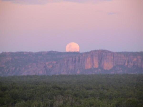 Moon rise over Kakadu....