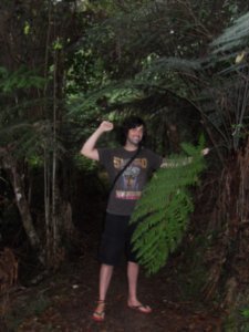 Opua Forest