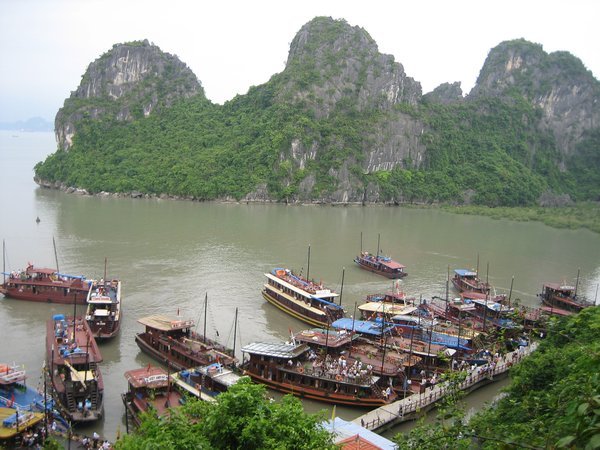 View from the hillside - Halong Bay