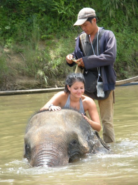 Holly bathing elephant