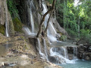Holly amongst Kuang Si waterfall