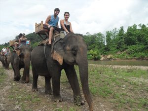 Elephant Trekking - Luang Prabang