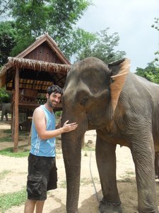 Elephant Trekking - Luang Prabang
