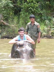 Kev giving elephant a good scrub!